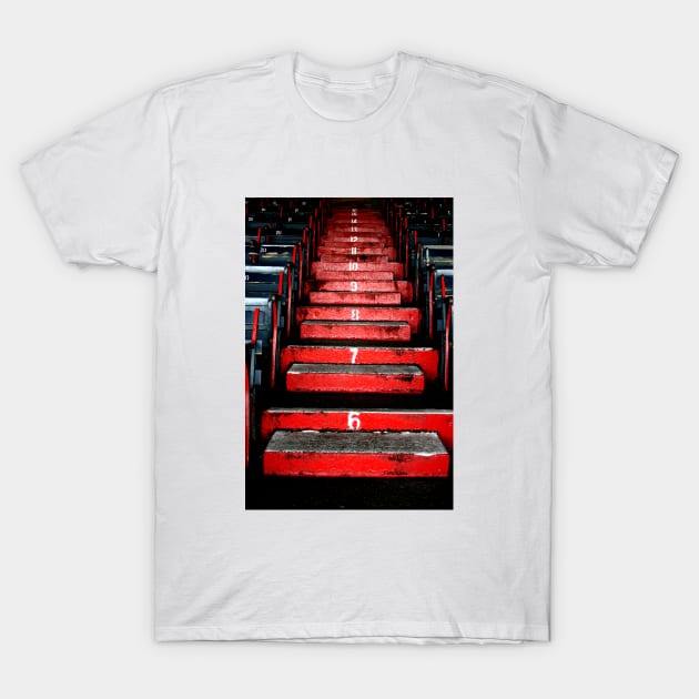 Boston T-Shirt by goldstreet